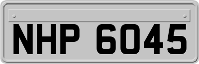NHP6045
