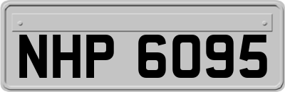 NHP6095