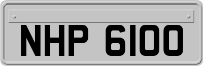 NHP6100