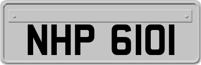 NHP6101