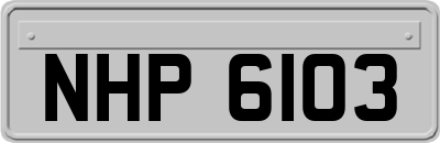 NHP6103