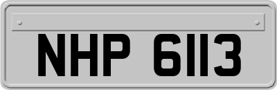 NHP6113
