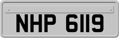 NHP6119