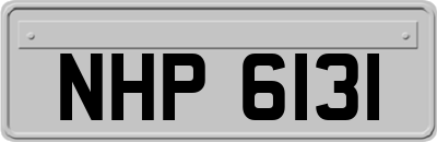 NHP6131