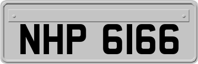 NHP6166