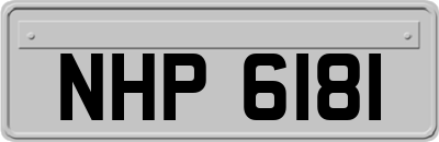 NHP6181