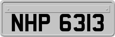NHP6313