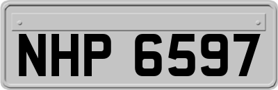NHP6597