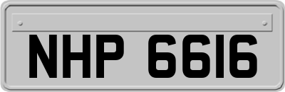 NHP6616