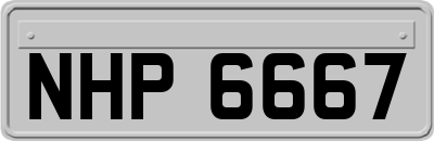 NHP6667