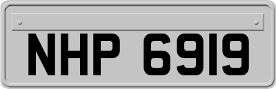 NHP6919