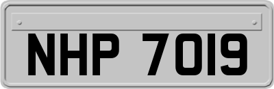NHP7019
