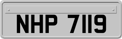 NHP7119