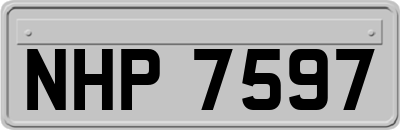NHP7597