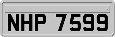 NHP7599