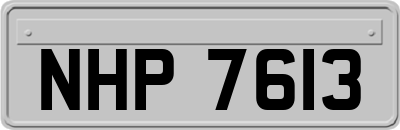 NHP7613
