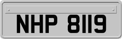 NHP8119