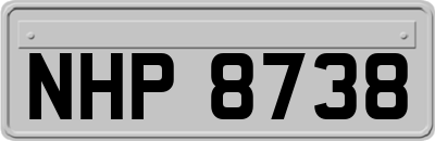 NHP8738