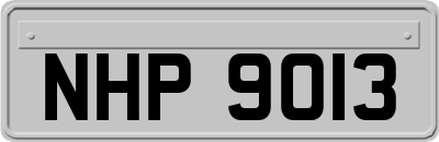 NHP9013