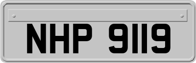 NHP9119