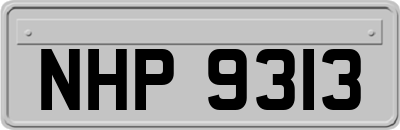 NHP9313