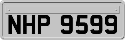 NHP9599