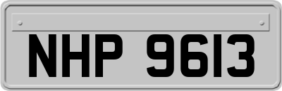 NHP9613