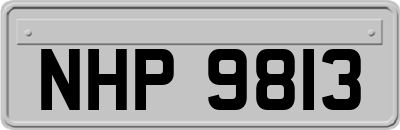 NHP9813