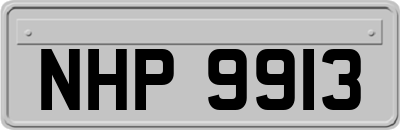 NHP9913