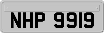 NHP9919
