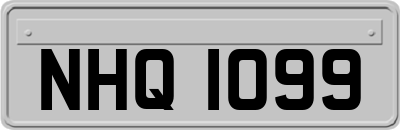 NHQ1099
