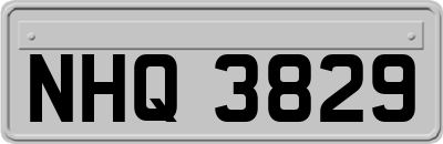 NHQ3829