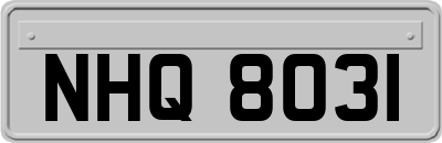NHQ8031