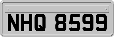 NHQ8599