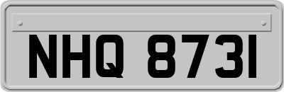 NHQ8731