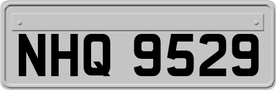 NHQ9529