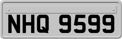 NHQ9599