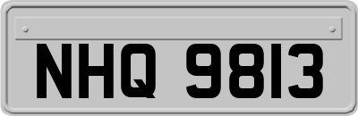 NHQ9813