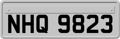 NHQ9823