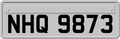 NHQ9873