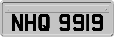 NHQ9919