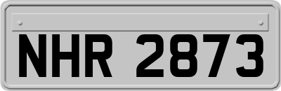 NHR2873