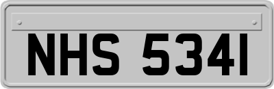 NHS5341