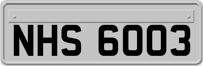 NHS6003