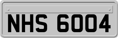NHS6004