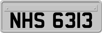 NHS6313