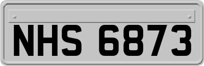 NHS6873