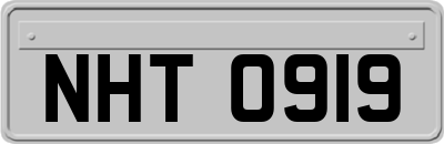 NHT0919