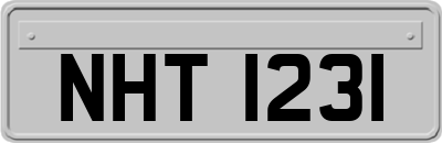 NHT1231