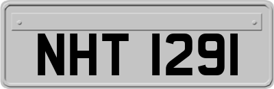 NHT1291